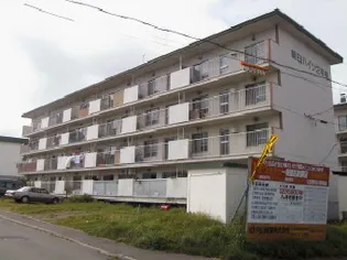 朝日ハイツ1号棟の画像