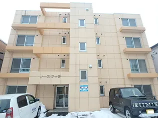 ノースフィラの画像