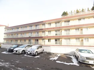 リバティ南郷17【2階】の外観