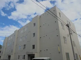 ハイツ石川A【0301号室】の外観