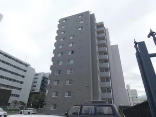 カノントヨヒラの画像