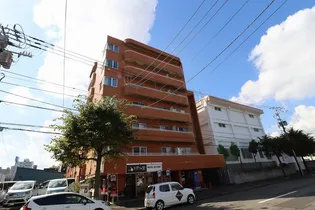 ブルームハイツ豊平【0511号室】の外観