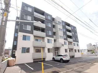 カレラ菊水の画像