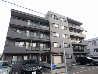 S T COLLINEの画像