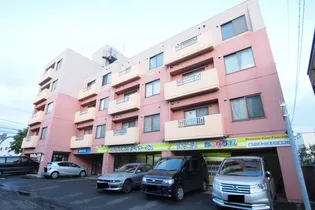 ヴィザージュ菊水【203号室】の外観