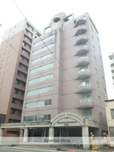 ビッグバーンズマンションN11の画像