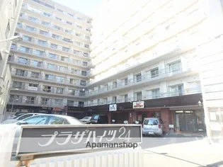 プラザハイツ24【1012号室】の外観