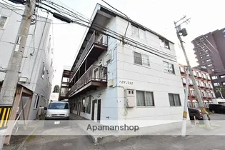 ハイデンス大洋の画像