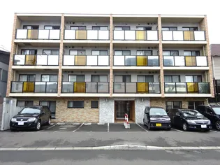 カルディーノN30の画像