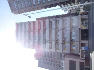 セントポーリアグランデュールの画像