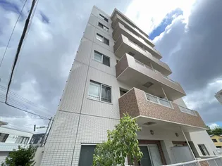 コモドNIの画像