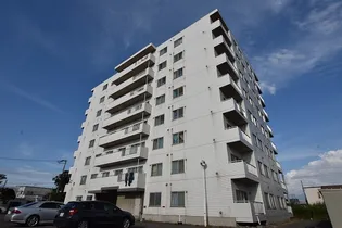 カネ山マンションの画像