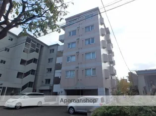 アミティN22の画像