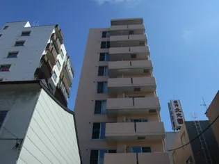 アイビーパレス52の画像