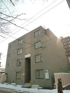 ルピナス18の画像