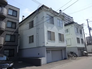 リアルコートマツミの画像