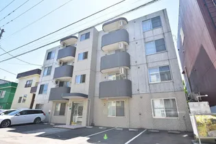 エバーグリーンの画像