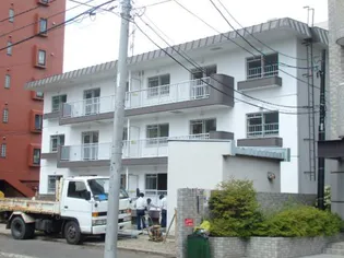 テレパレス山鼻19条の画像