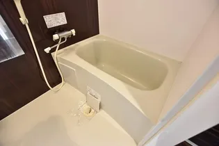 フォレストヒルズB【0206号室】の風呂