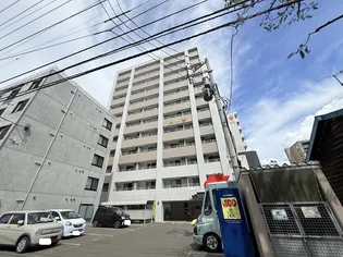 セントポーリアカルーアの画像