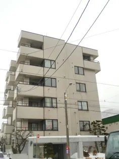 ホワイトテムの画像
