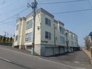 ピュア33の画像