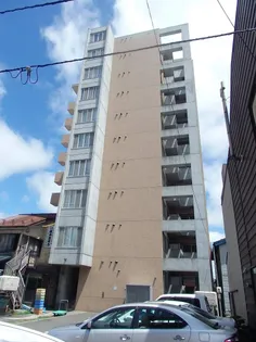 ルピナスの画像