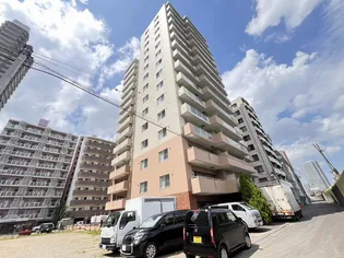 ビッグパレス南12条の画像