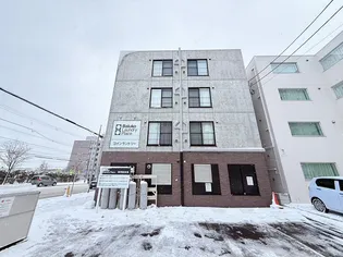 SEA THE STARSの画像