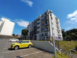 東急ドエル平岸台ビレジ弐号棟の画像