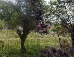 北海道札幌市南区中ノ沢【一戸建】の外観