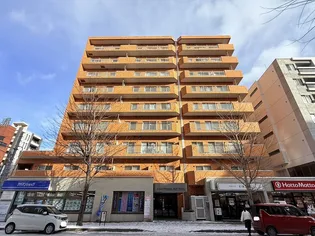 ライオンズマンション第8大通の画像