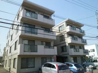 ビッグバーンズマンション八軒IIIの画像