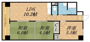 Kowa N35【4階】の間取り
