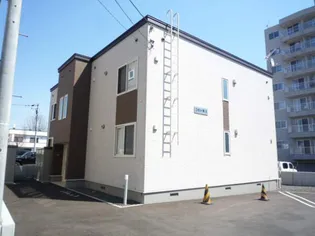 コモドNⅡの画像