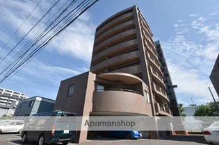 ルピナスN36の画像