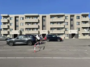 フェデ エリシオンの画像