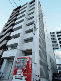 エルシー1の画像