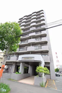 ティアラN6【7階】の外観