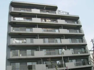 エクセレント33の画像