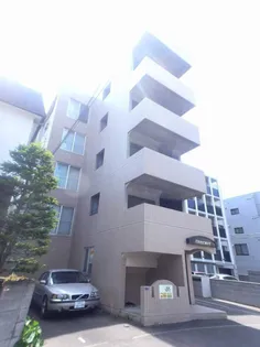 フラワーN22の画像