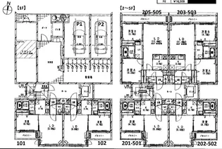エルクリエイト新道東【3階】の間取り