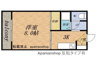 カーサたつみ【203号室】の間取り