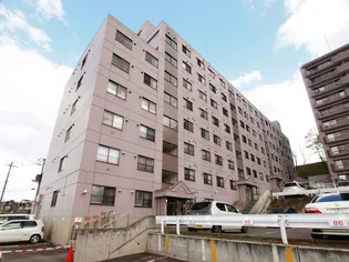 リーセント新光弐番館の画像