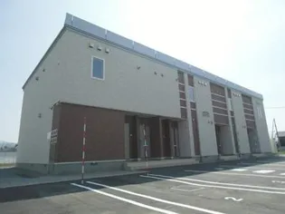 プラシードグレイスの画像