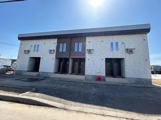 ブランマーテルの画像