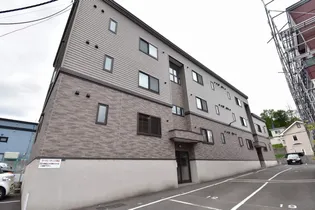 アムールアドニスの画像