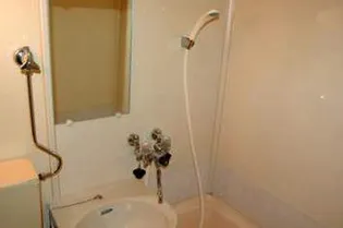 クリスタル村川【00102号室】の風呂