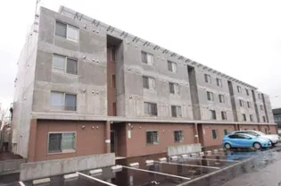 セントポーリアシェリルの画像