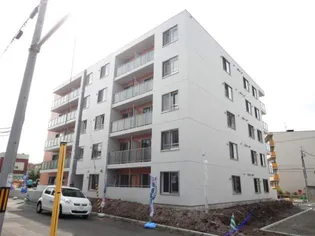 イー ウォール トキの画像